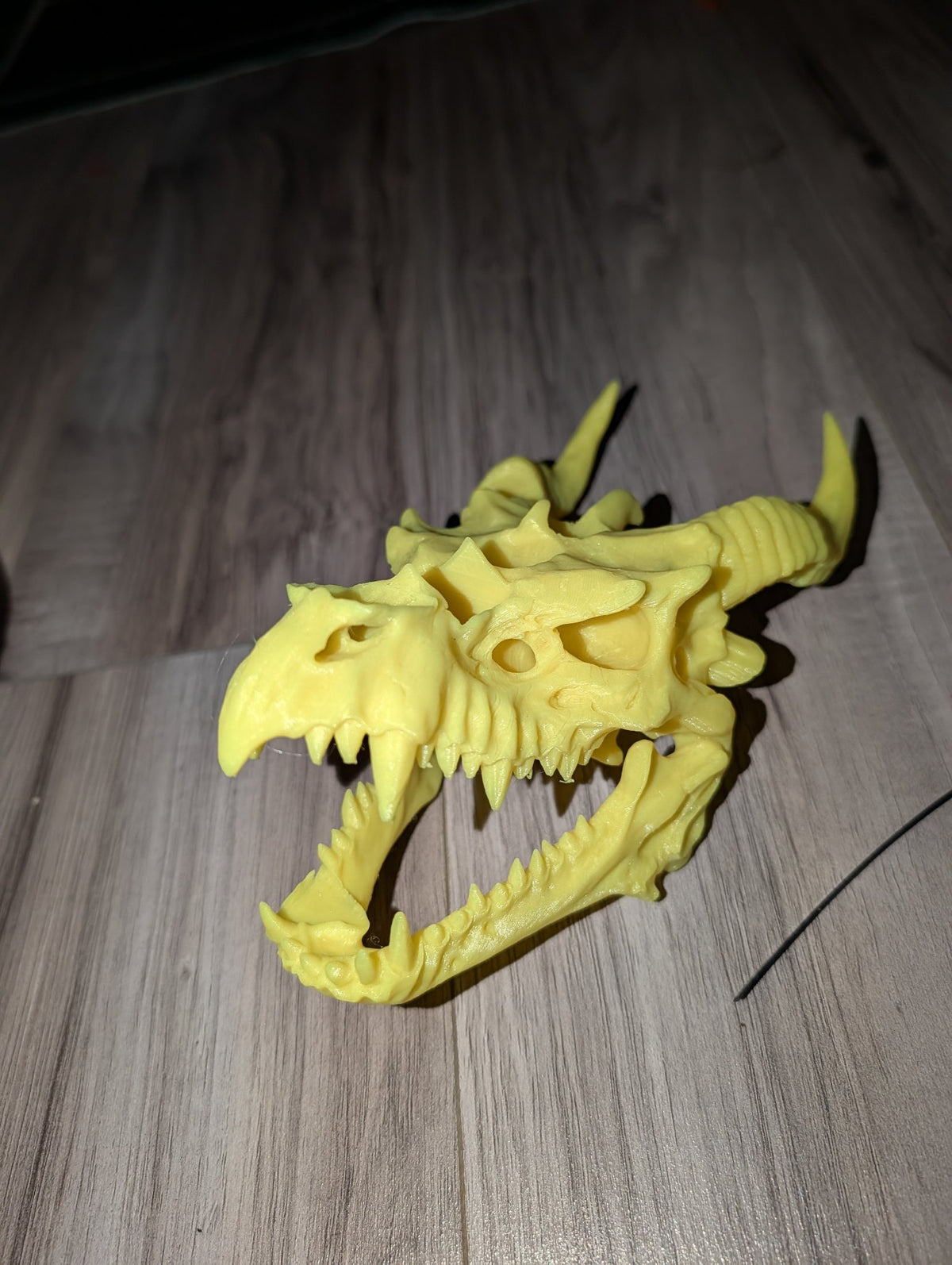 Dragon Head Dice Holder — 3D Printed Dragon Skull Dice Display, D&D Dice Storage