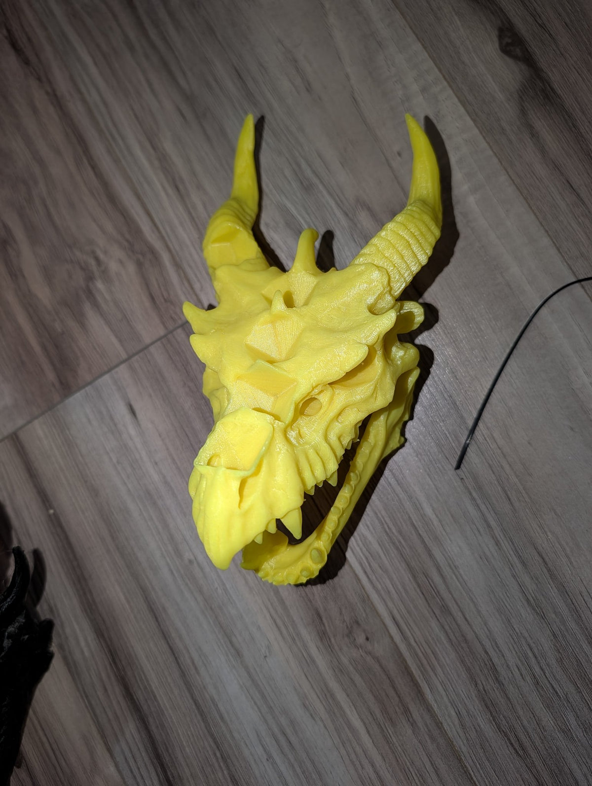 Dragon Head Dice Holder — 3D Printed Dragon Skull Dice Display, D&D Dice Storage
