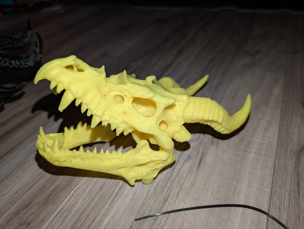 Dragon Head Dice Holder — 3D Printed Dragon Skull Dice Display, D&D Dice Storage