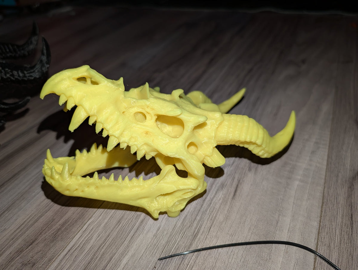 Dragon Head Dice Holder — 3D Printed Dragon Skull Dice Display, D&D Dice Storage