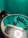 Articulated Flexi Dragon – 3D Printed Teal Flexible Dragon Fidget Toy, Sensory Desk Toy Gift