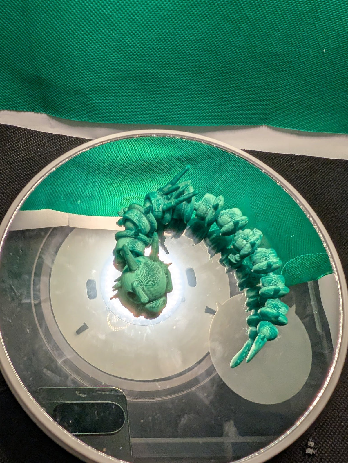 Articulated Flexi Dragon – 3D Printed Teal Flexible Dragon Fidget Toy, Sensory Desk Toy Gift