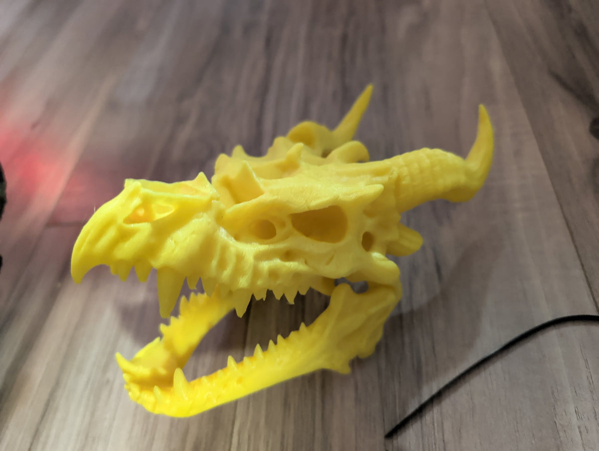 Dragon Head Dice Holder — 3D Printed Dragon Skull Dice Display, D&D Dice Storage