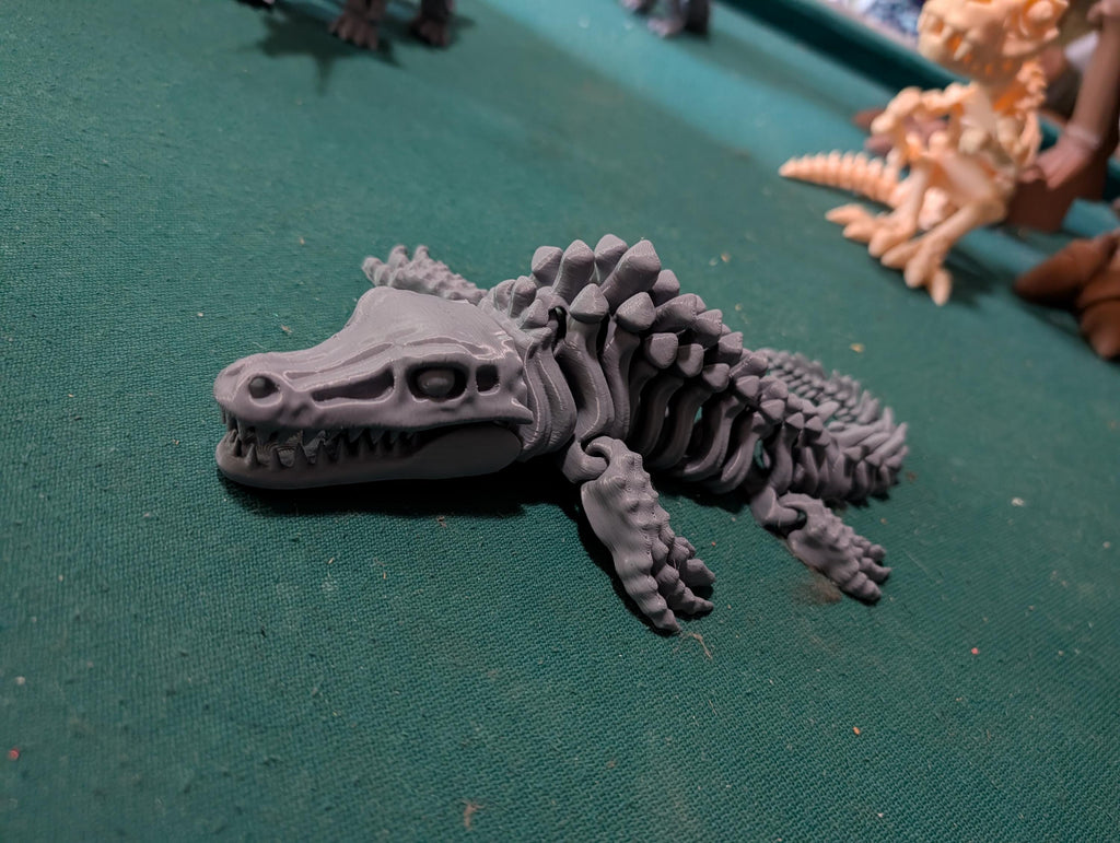 Articulated Dinosaurs Skeleton Handmade Display Piece - Bundling Price Available